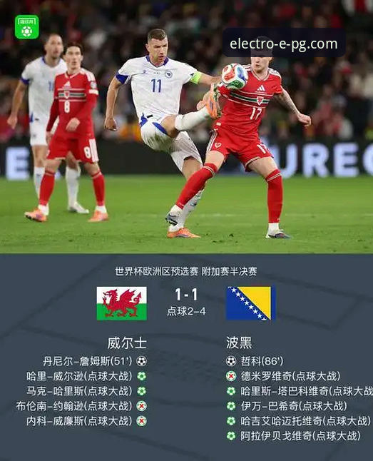 波黑奇迹之夜观赛体验——从点球大战到世界杯梦想的实用指南